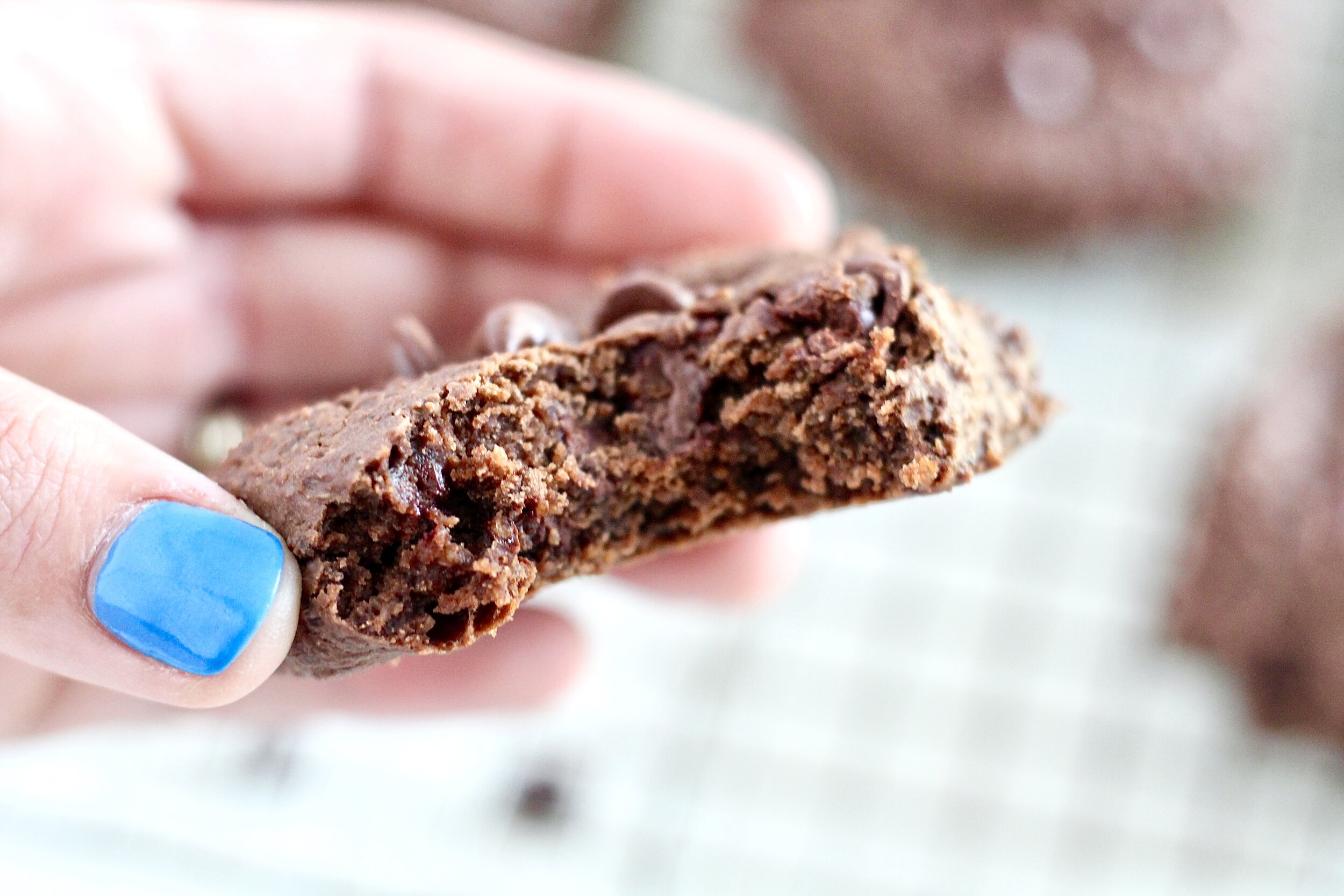  Double Chocolate Fudge Breakfast Cookies 