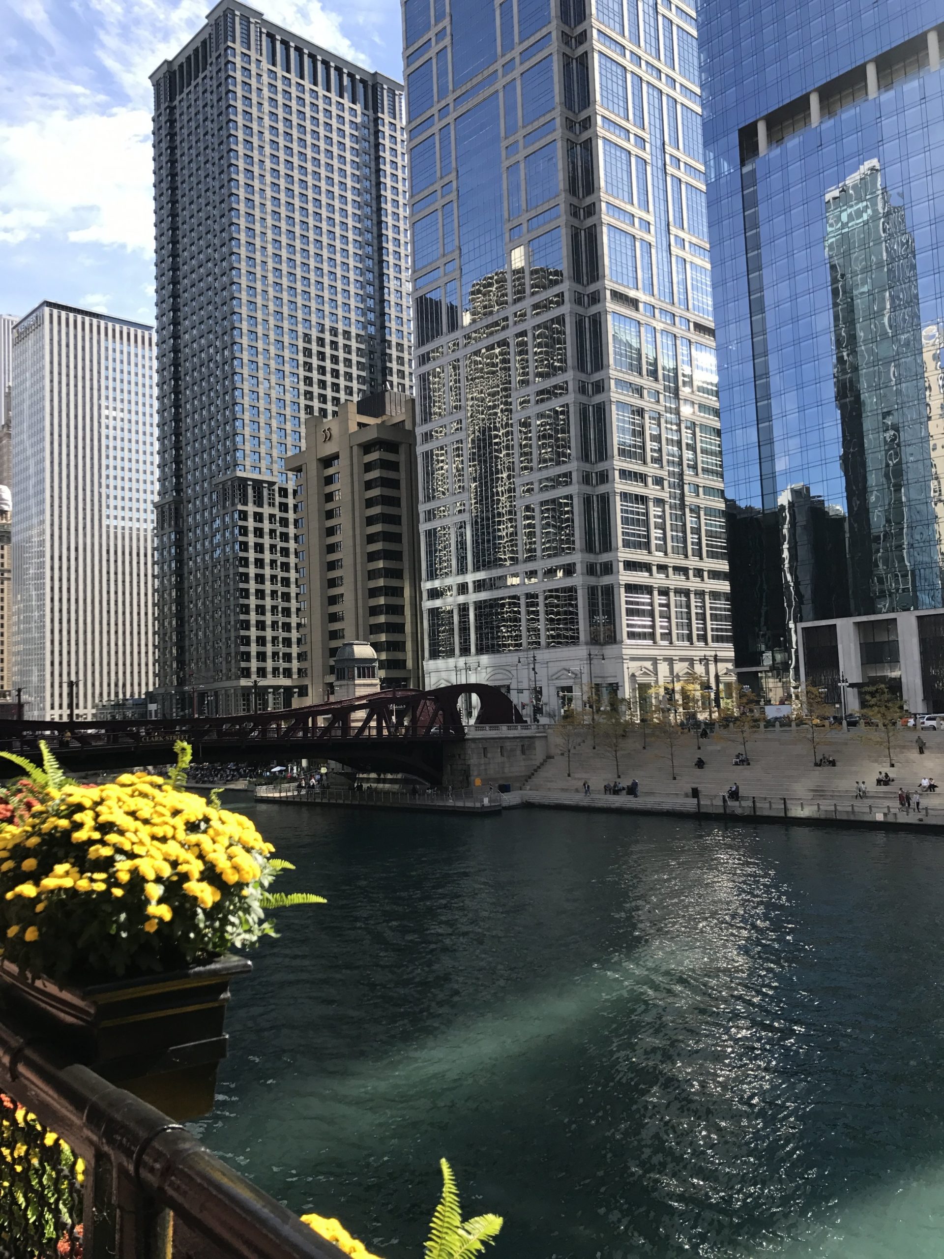 downtown chicago with the river