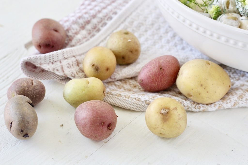 potatoes on towel
