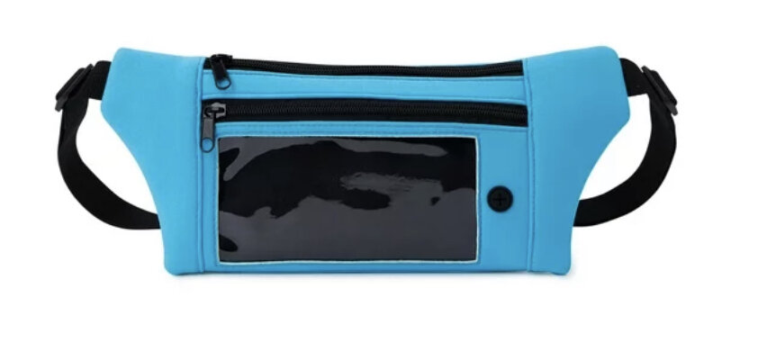 spibelt bag for diabetes phone at walmart